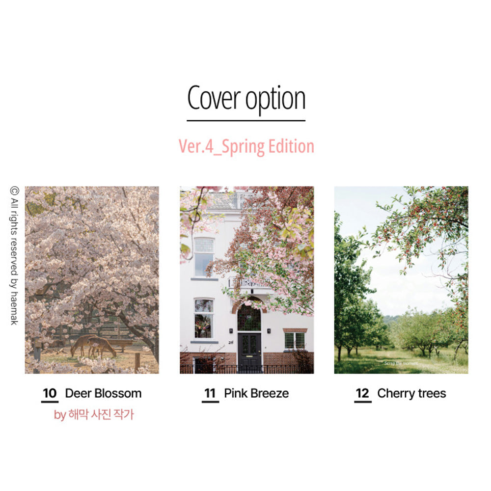 Scrap the Moment Spring Edition Note / Grid Note / Line Note / Plain Note