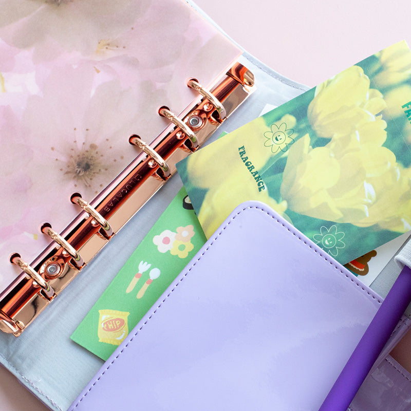 Archive organizer cover